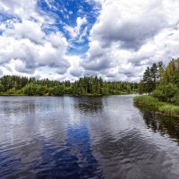 Рощинские пейзажи