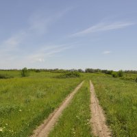 Веснга.