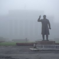 Серое безмолвие