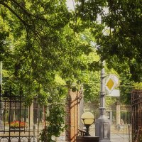 Зелёный и очень уютный дворик пекарни Тили - тесто. :: Лилия * Зелёный и очень уютный дворик пекарни Тили - тесто. :: Лилия *