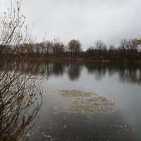 тишина
