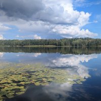 Августовское купание облаков