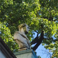 по моде нынешней, так зелень Вам - к лицу :: sv.kaschuk по моде нынешней, так зелень Вам - к лицу :: sv.kaschuk