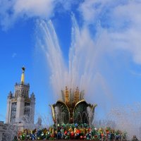 Распускается большой мозаичный бутон.