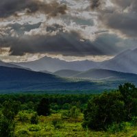 Природа :: Жора Житников