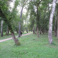 Парк "Берёзовая Роща"