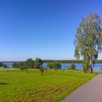 «Матушка-земля, белая берёзонька».