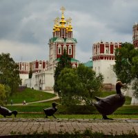 "Дорогу утятам"