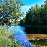 Осень в начале сентября.