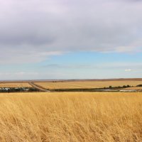 Оренбургская степь в сентябре
