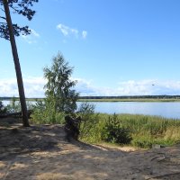 лесной берег реки