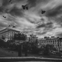 Из серии "города"