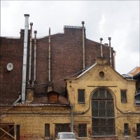 питерские дворы :: zavitok * питерские дворы :: zavitok *