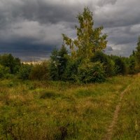 Осень в Дрезне 6. :: Андрей Дворников