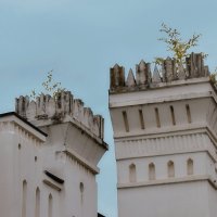 Встреча природы с историей.