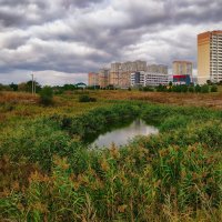 Ростовские зарисовки