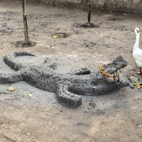 Земляной крокодил, чуть гуся не проглотил... :: Михаил Юрин
