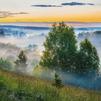 Здесь у нас туманы и дожди...