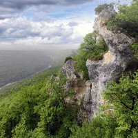 Гора, глотающая дерево (можно увидеть, если включить воображение) ...