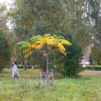 в парке :: Венера Чуйкова в парке :: Венера Чуйкова
