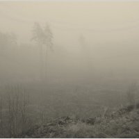 Пришел туманчик