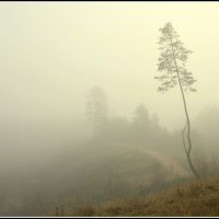 Утро туманное :: Aleksandr Gal