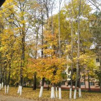 Осенью а с.Заворово