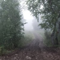 Туманными тропами