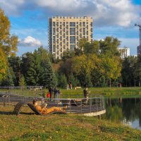 Прогулки в Осеннем Парке :: юрий поляков Прогулки в Осеннем Парке :: юрий поляков