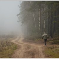 Лесная дорога...