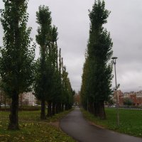 ОСЕННЯЯ ХМАРЬ