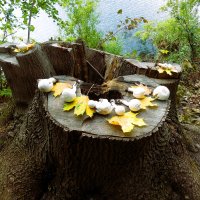 И лес уж осенью дышал(серия)