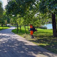 В городском парке сенокос :: Валерий Иванович В городском парке сенокос :: Валерий Иванович