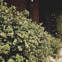 15  ОПЕН (80) :: OPEN WAYS ALL