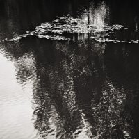вода :: Денис Безногов
