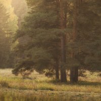 Осенний закат
