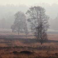 Настроение - осень :: XX 74