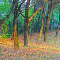 под  ивами :: Владимир иванов