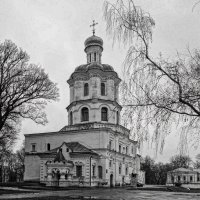 ЧБ фото :: Роман Савоцкий
