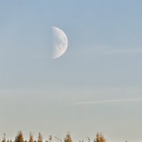 Вечерняя луна