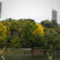 Пейзаж
