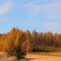 осень :: Владимир иванов