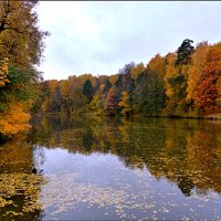Осень :: Борис Горшевский