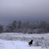 Пейзаж