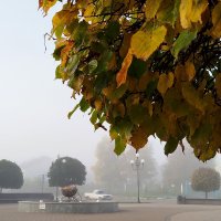 Туманное утро