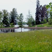 Бухта парка Монрепо