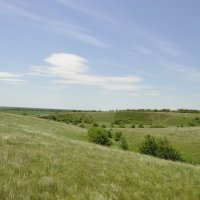 Местные зарисовки.