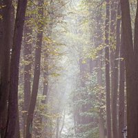 Царицыно 26 сентября