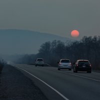 Сплошная Япония