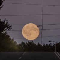 Полнолуние